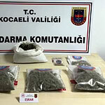 Kocaeli Dahil 45 İlde Dev "Narko Pars" Operasyonu: 352 Zehir Taciri Yakalandı!