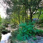 Kocaeli Orman Yasağı Ne Zaman Bitiyor? Mangal Yasağı Uzatıldı mı?