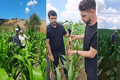 Büyükşehir’den Kocaeli Tarımına Yeni Mısır Hamlesi