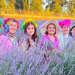İzmit 4. Lavanta Şenliği'nde Mor Tarlalar Ziyaretçi Akınına Uğradı!