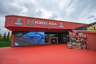 Körfez Aqua Kıtalar Akvaryumu Giriş Ücretleri Ne Kadar?