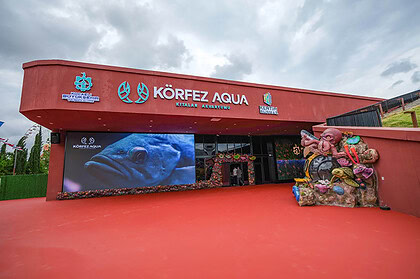 Körfez Aqua Kıtalar Akvaryumu Giriş Ücretleri Ne Kadar?