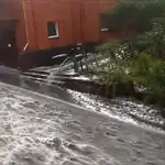 Almanya'da Fırtına Faciası: 1 Ölü 3 Yaralı, Karlsruhe'de OHAL İlan Edildi