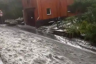 Almanya'da Fırtına Faciası: 1 Ölü 3 Yaralı, Karlsruhe'de OHAL İlan Edildi