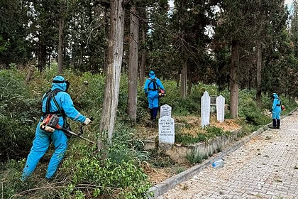 Dilovası'nda Osmanlı Mezar Taşları Yeniden Gün Yüzüne Çıkarılıyor