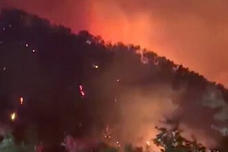 Girit ve Mora'da Orman Yangını 3 İtfaiyecinin Canını Aldı