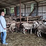 Kocaeli Büyükşehir’den Hayvancılığa Dev Destek: Büyükşehir Ekipleri Kapı Kapı Gezerek Destek Veriyor!
