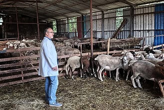 Kocaeli Büyükşehir’den Hayvancılığa Dev Destek: Büyükşehir Ekipleri Kapı Kapı Gezerek Destek Veriyor!
