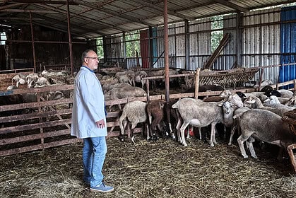 Kocaeli Büyükşehir’den Hayvancılığa Dev Destek: Büyükşehir Ekipleri Kapı Kapı Gezerek Destek Veriyor!