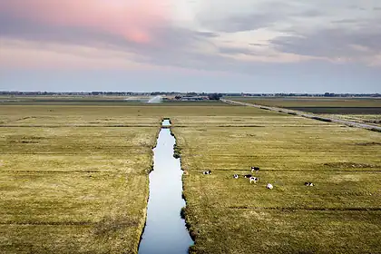 Hollanda Resmen Su Kıtlığı İlan Etti: İçme Suyu Etkilenmeyecek