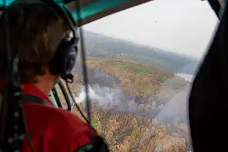 Kanada Ontario'da 190 Yangın Sürüyor: 735 Bin Hektar Küle Döndü