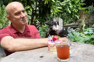 Kavurma Yiyor, Rize Çayı İçiyor: Kocaeli'de Seçici Karga'nın 3. Yaşı Kutlandı
