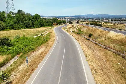 Kocaeli'de 6 Ayda 7 Bin 500 Yol Dikmesi: Hedef 15 Bin