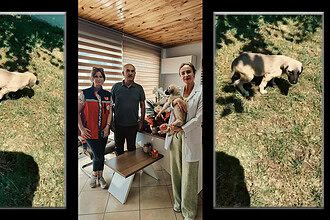 Körfez'de Araba Çarpan Yavru Köpeğe Başarılı Ameliyat: Parçalı Kırık Tedavi Edildi!
