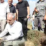 Şekerpınar'da Lavanta Hasadı Şenliği: Çayırovalılar Mor Tarlada Buluştu