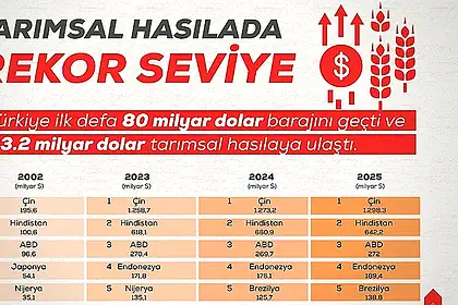 Türkiye Tarımsal Hasılada Rekor Kırdı: 83,2 Milyar Dolar