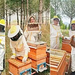 Bilinçli Üretim, Kocaeli’nin Balını Türkiye’ye Taşıyor