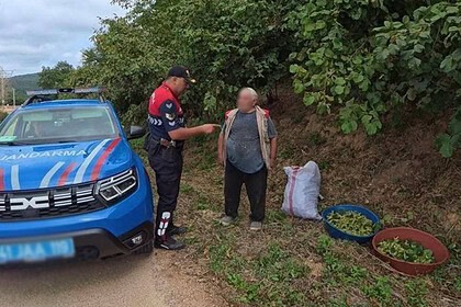 Kandıra'da Fındık Tarlalarında Jandarma Nöbeti: Termal Dronlar Ve JASAT Sahada!