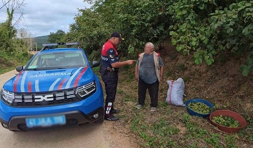 Kandıra'da Fındık Tarlalarında Jandarma Nöbeti: Termal Dronlar Ve JASAT Sahada!