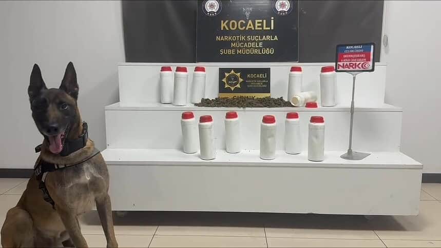 Zulayı Narkotik Köpeği Affetmedi! Otomobilden Çıkan Uyuşturucu Polisi Bile Şaşırttı!