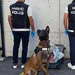 Gebze’de Uyuşturucu Operasyonu: Narkotik Köpeği Valizde 21 Bin Sentetik Ecza Yakaladı!