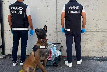 Gebze’de Uyuşturucu Operasyonu: Narkotik Köpeği Valizde 21 Bin Sentetik Ecza Yakaladı!