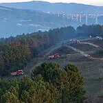 Kocaeli’yi Korkutan Yangında Sevindiren Haber: Orman Yangını Kontrol Altına Alındı!