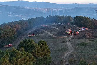 Kocaeli’yi Korkutan Yangında Sevindiren Haber: Orman Yangını Kontrol Altına Alındı!