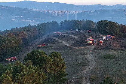 Kocaeli’yi Korkutan Yangında Sevindiren Haber: Orman Yangını Kontrol Altına Alındı!