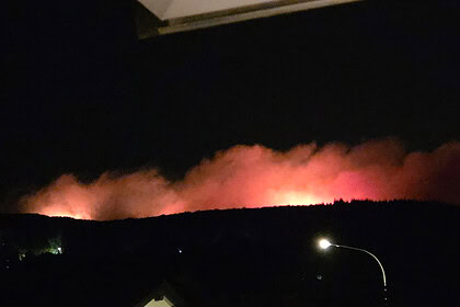 Almanya'da Orman Yangını Çıktı: Bin 800 Kişi Tahliye Ediliyor
