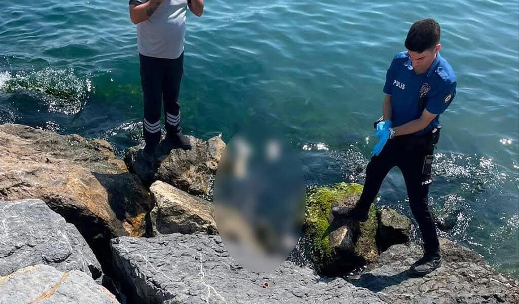 Kocaeli Darıca'daki Acı Olayda Son Dakika: 4'üncü Kardeş Sağ Bulundu, Otopside Darp İzi Yok!