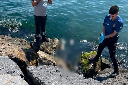 Kocaeli Darıca'daki Acı Olayda Son Dakika: 4'üncü Kardeş Sağ Bulundu, Otopside Darp İzi Yok!