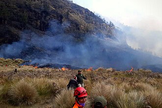 Endonezya'daki Bromo Dağı 3 Gündür Yanıyor: 60 Hektar Küle Döndü