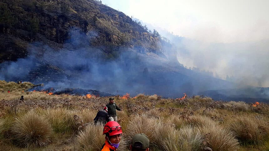 Endonezya'daki Bromo Dağı 3 Gündür Yanıyor: 60 Hektar Küle Döndü