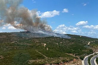 Gebze Beylikbağı'nda Orman Yangını 1,5 Saatte Söndürüldü