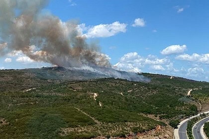 Gebze Beylikbağı'nda Orman Yangını 1,5 Saatte Söndürüldü