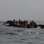 Kariba Gölü'nde Feribot Alabora Oldu: 15 Ölü, 27 Kayıp