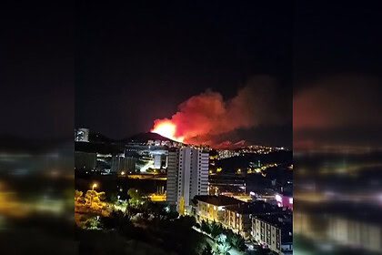 Ankara Mamak'ta Ağaçlık Alanda Yangın: İtfaiye Ekipleri Bölgede