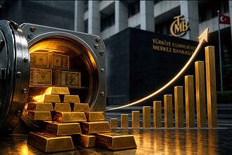 Merkez Bankası Rezervleri 164 Milyar Dolarla Rekora Yükseldi