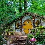 Kocaeli Ormanya Giriş Ücretli mi? Ormanya Müze Kart Geçerli mi?