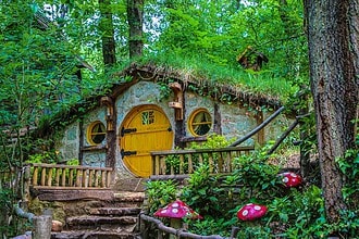 Kocaeli Ormanya Giriş Ücretli mi? Ormanya Müze Kart Geçerli mi?