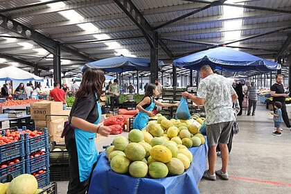 İzmit Pazar Fiyatları 2026 - İzmit Pazar Yerleri ve Günleri!