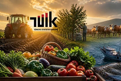 TÜİK Temmuz 2026 Tarım-ÜFE Verilerini Açıkladı: Tarım Ürünleri Üretici Fiyat Endeksi Yıllık %18,81 Arttı