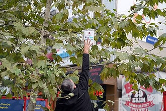 16. Kocaeli Kitap Fuarı Müjdesi: Ağaçlara 5 Bin Kitap Asılacak!