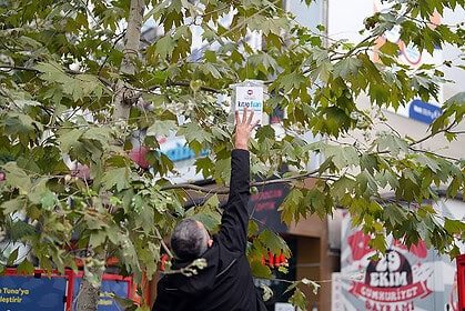 16. Kocaeli Kitap Fuarı Müjdesi: Ağaçlara 5 Bin Kitap Asılacak!