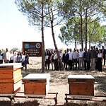 Kocaeli Tarım Akademisi’nde Sertifika Gururu: Arıcılık Eğitimi Alan Kursiyerler Belgelerini Aldı!