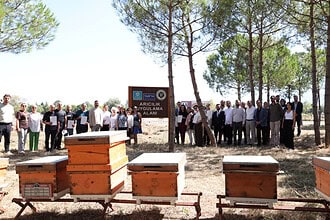 Kocaeli Tarım Akademisi’nde Sertifika Gururu: Arıcılık Eğitimi Alan Kursiyerler Belgelerini Aldı!