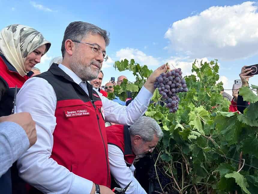 Bakan Yumaklı 3 milyon 850 bin tonluk bir üzüm üretimi ülkemizde gerçekleşmiş olacak