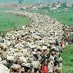 İngiltere’de Ruanda Soykırımı İle İlgili İlk Dava