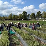 TABİP’te Üretimden Markalaşmaya Uzanan Hasat